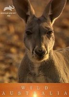 Дикая Австралия (2011)/Wild Australia
