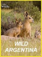 Дикая природа Аргентины/Wild Argentina