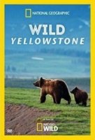 Дикий Йеллоустоун/Wild Yellowstone