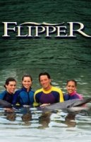 Флиппер/Flipper 4 сезон