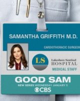 Хорошая Сэм/Good Sam