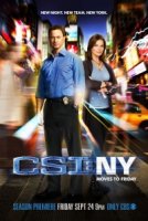 Место преступления: Нью-Йорк/CSI: NY 9 сезон