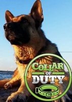 Ошейник долга/Collar of duty