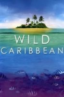 Ритмы жизни Карибских островов/Wild Caribbean – Rhythms of Life