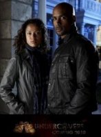 Семейные тайны/Undercovers 1 сезон