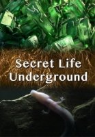 Тайны подземного мира/Secret Life Underground
