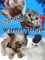 Улетные животные