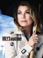 Анатомия страсти/Greys Anatomy 12 сезон