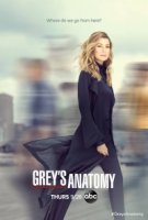Анатомия страсти/Greys Anatomy 16 сезон