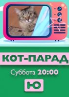 Кот-парад