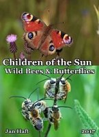 Место под Солнцем - Дикие пчелы и бабочки/Children of the Sun - Wild Bees & Butterflies