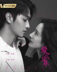 Она и ее идеальный муж/She & Her Perfect Husband