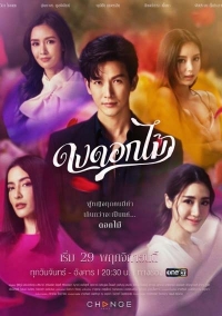 Желанный цветок/Desirable Flowers