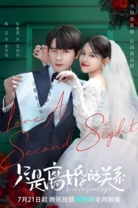 Влюбиться в бывшего мужа/Love at Second Sight