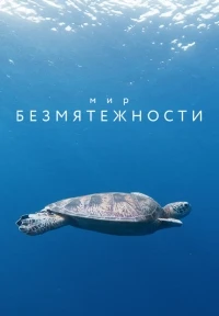 Мир безмятежности/A World of Calm