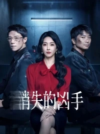 Исчезнувший убийца/Gone Murderer